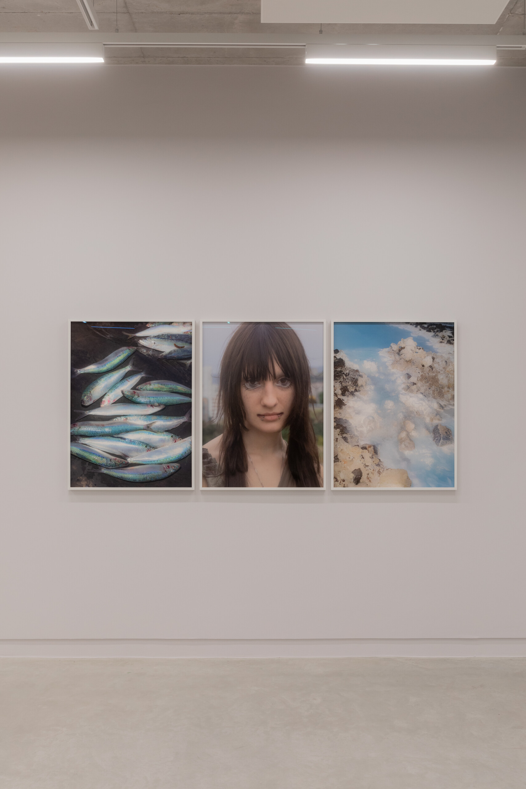 Neven Allgeier Exhibitions 2023 – ongoing