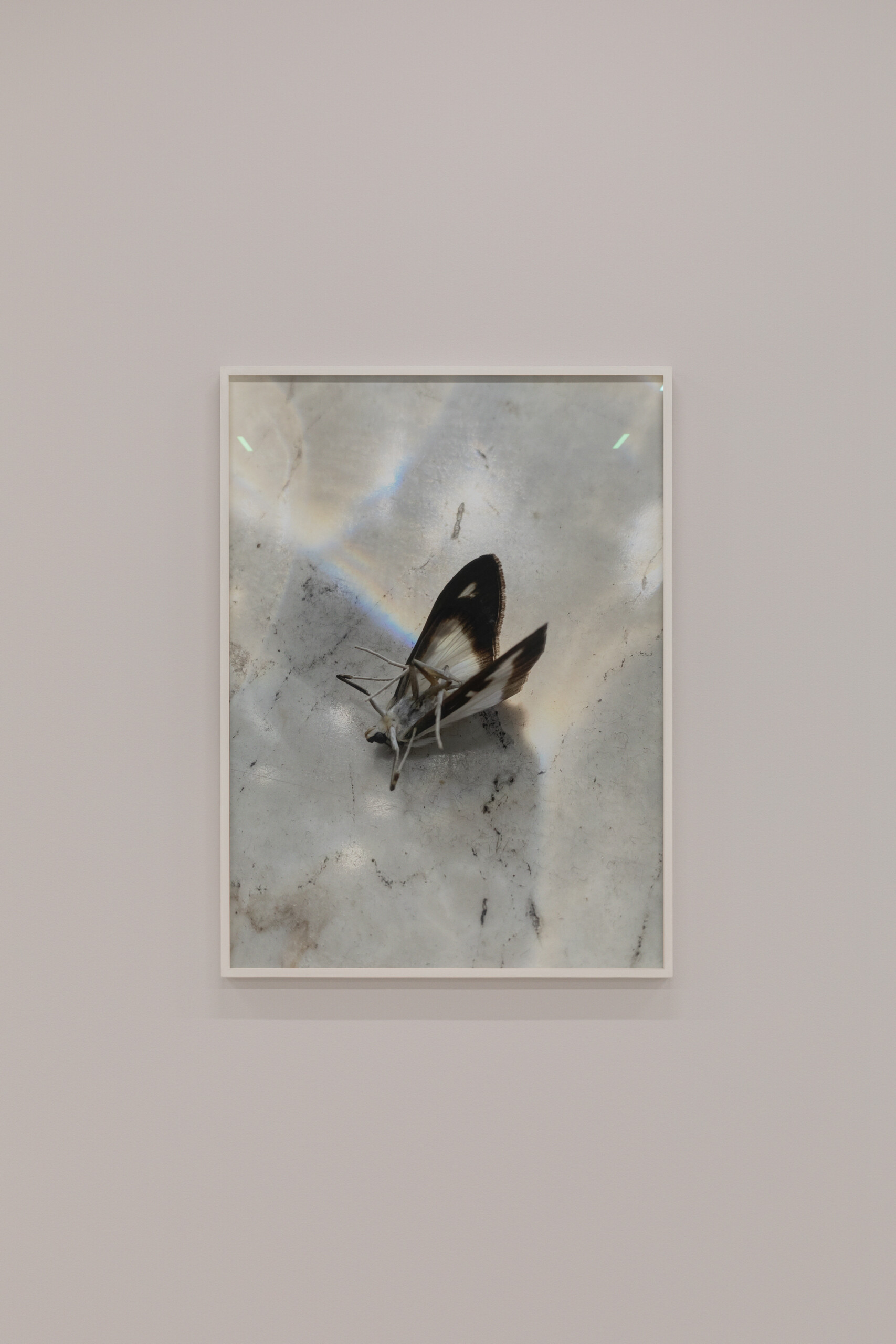 Neven Allgeier Exhibitions 2023 – ongoing